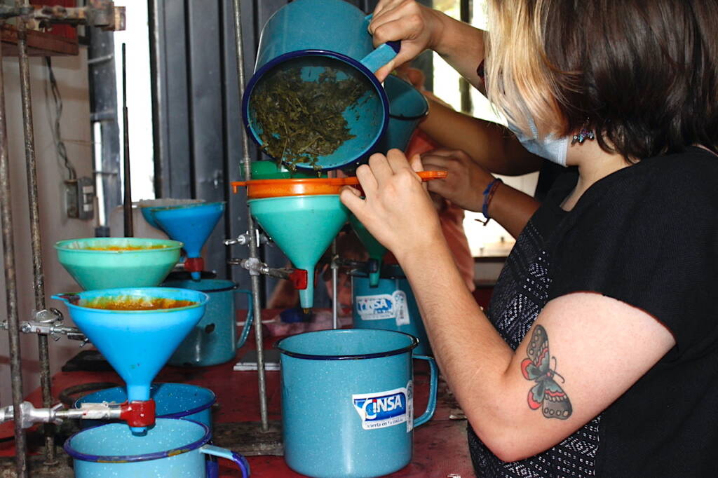 Arquetopia Natural Ink Silkscreen Instructional Residency 1c