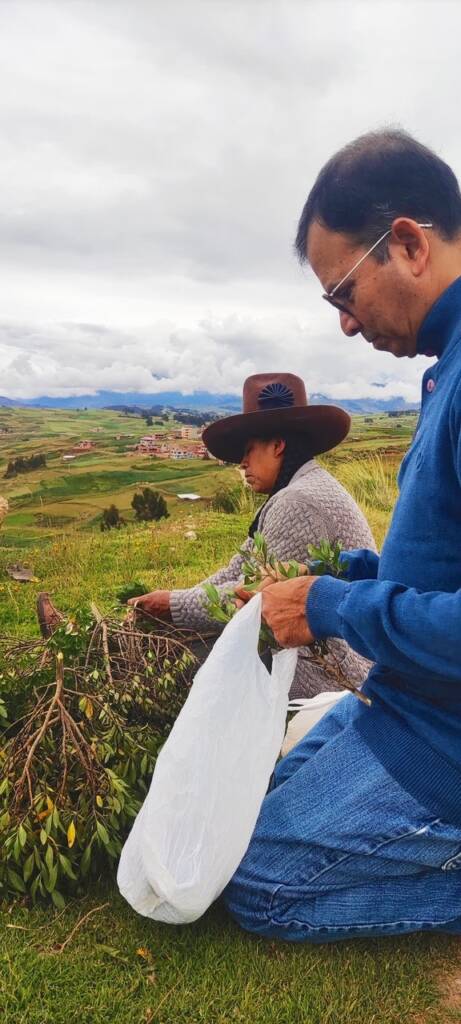 Arquetopia Natural Pigments Residency 1ag